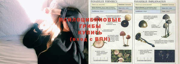 МДМА Верея