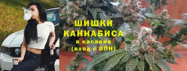 стафф Верхний Тагил